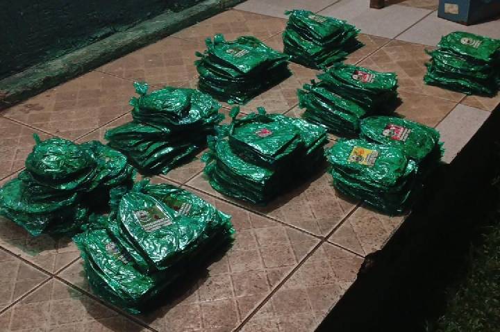 COMBATE AO TRÁFICO NA FRONTEIRA: PMRO E 6º BIS APREENDEM FOLHAS DE COCA NO RIO MAMORÉ