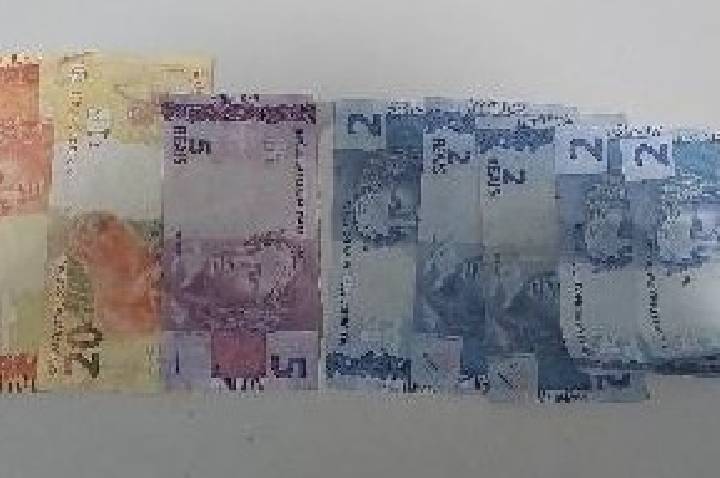 Homem rouba motorista de ônibus, foge por córrego e é atacado por pitbulls ao invadir quintal