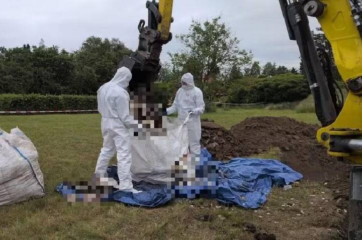 Mais de 30 fetos são encontrados em jardim de médica