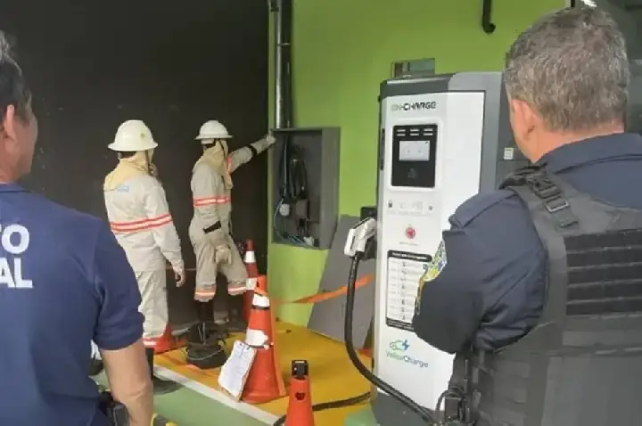 Ponto de recarga de veículos elétricos é flagrado com gato em Porto Velho