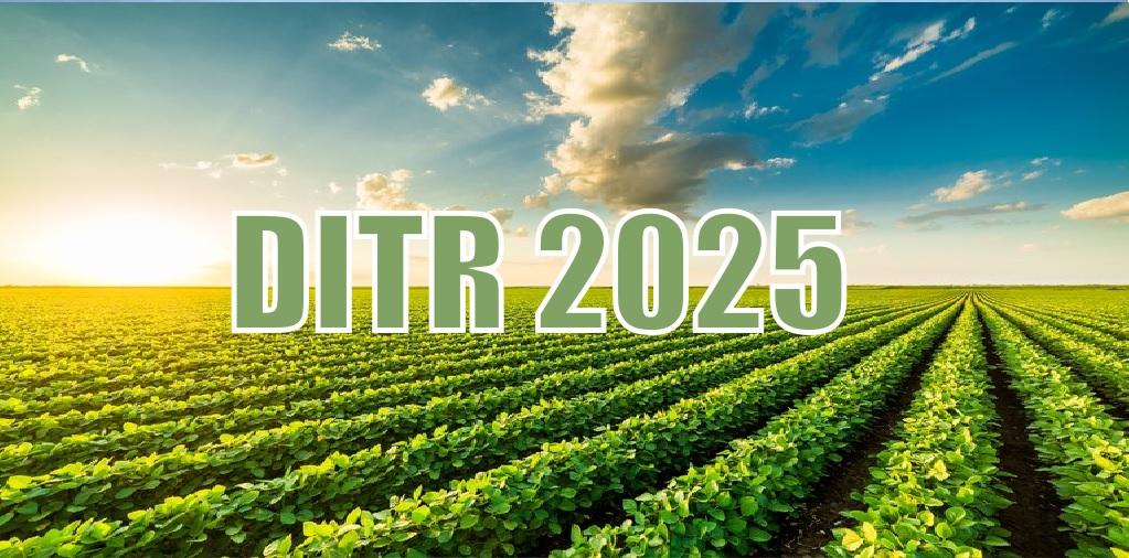 Prazo para entrega da DITR 2025 começa nesta segunda-feira e segue até 30 de setembro