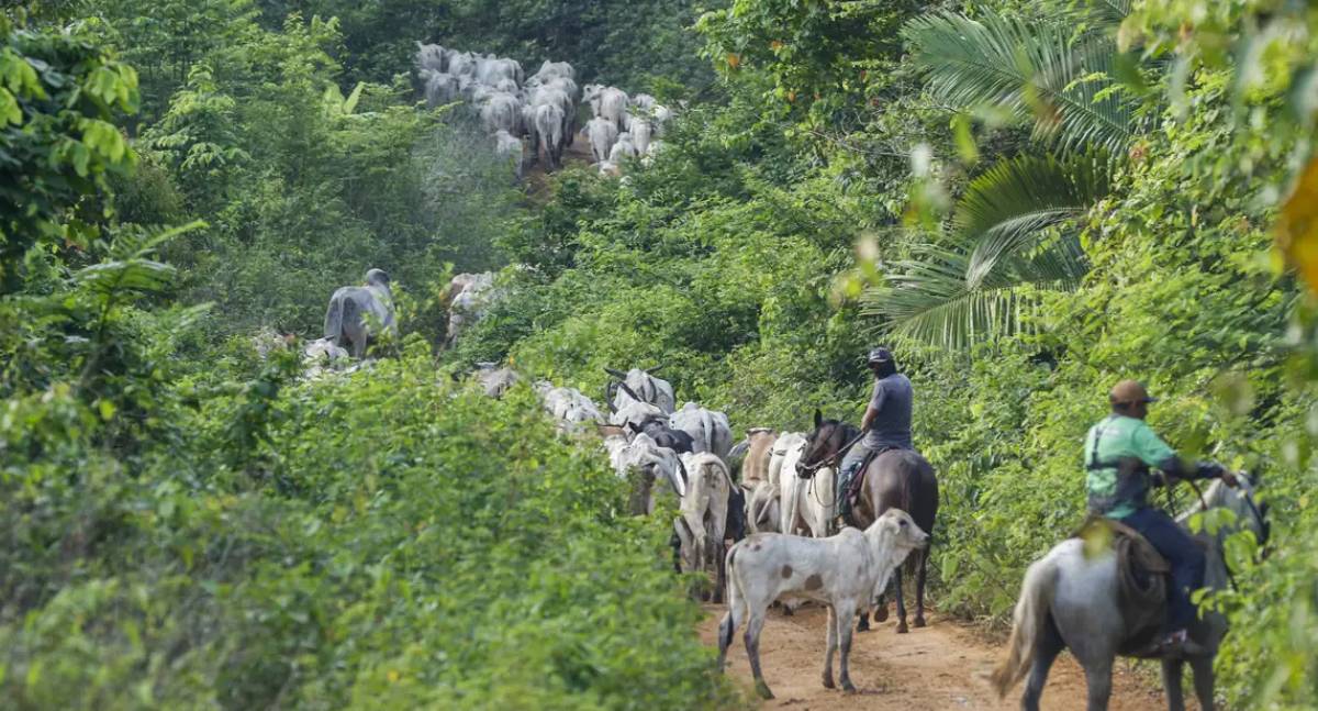 Atividade econômica do Brasil registra crescimento de 2,5% em 2025