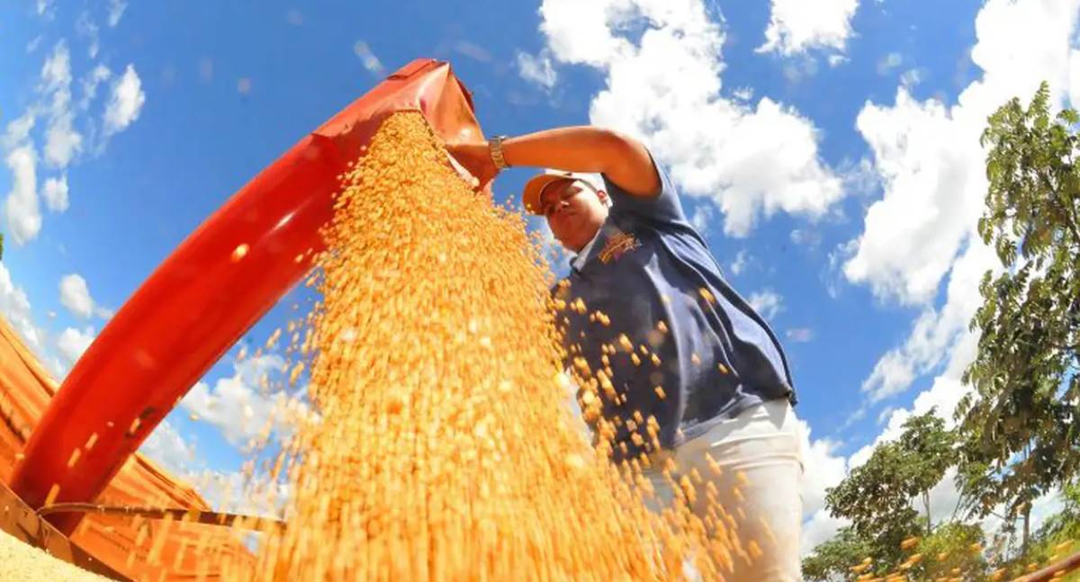Safra 2025/26 pode estabelecer novo marco histórico na produção de grãos