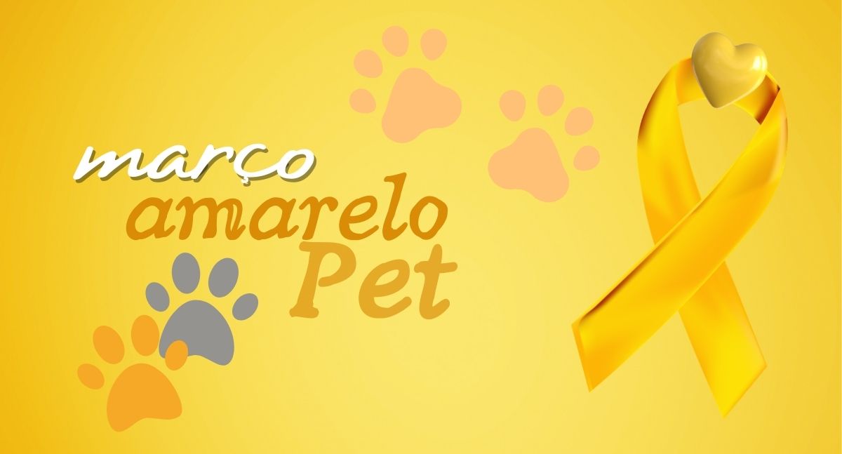 Março Amarelo nos Pets: a importância da prevenção da doença renal
