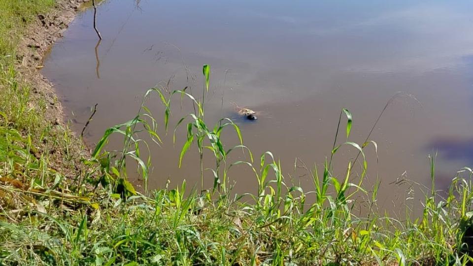 Em Rondônia: Homem é encontrado morto em rio