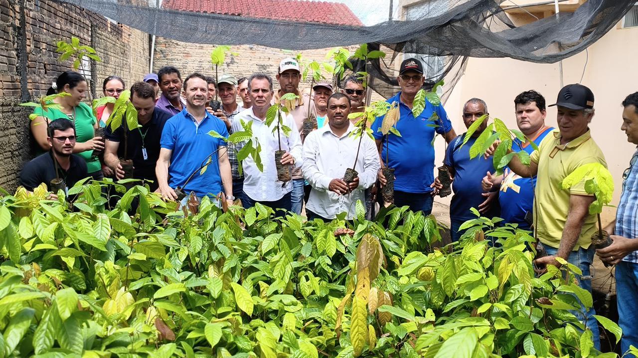 Fortalecimento da agricultura: deputado Alan Queiroz entrega 3 mil mudas de cacau para produtores de Buritis